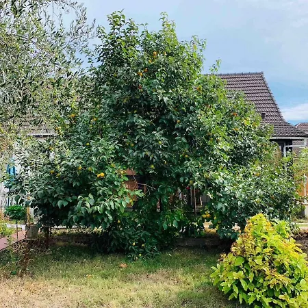 Adorable Maison 85m2 Proche Orly/paris *